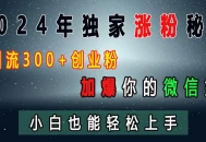 2024年独家涨粉秘籍，日引流300+创业粉，加爆你的微信好友，小白也能轻松上手